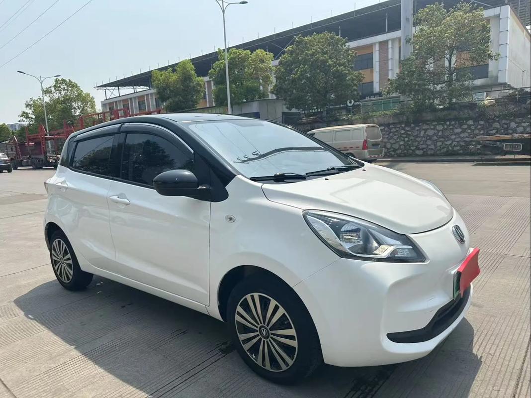 奔奔汽车价格 奔奔汽车2021