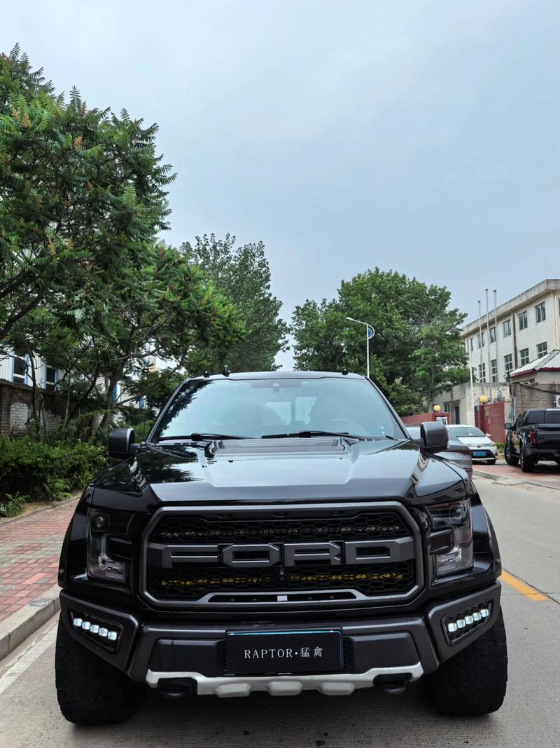 福特皮卡价格及图片 福特皮卡车价格大全图片 10万