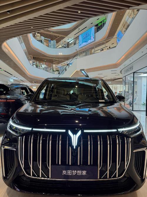 岚图油电混合商务车7座价格 岚图七座商务车