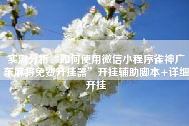 实测分析“如何使用微信小程序雀神广东麻将免费开挂器”开挂辅助脚本+详细开挂