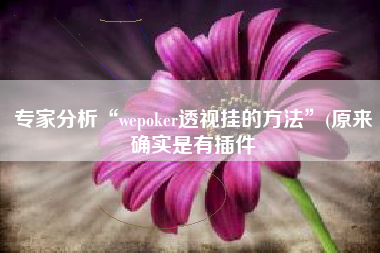 专家分析“wepoker透视挂的方法”(原来确实是有插件