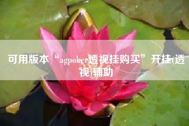 可用版本“agpoker透视挂购买”开挂(透视)辅助