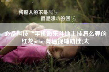 必备科技“手机微乐斗地主挂怎么弄的红龙poker有透视辅助挂(太