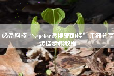 必备科技“wepoker透视辅助挂”详细分享装挂步骤教程