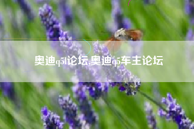 奥迪q5l论坛,奥迪q5车主论坛