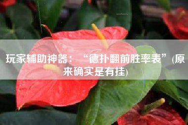 玩家辅助神器：“德扑翻前胜率表”(原来确实是有挂)