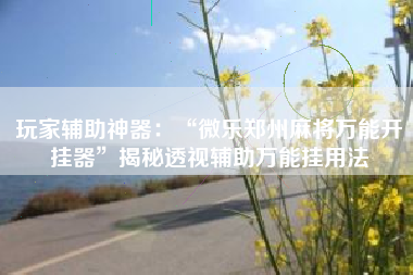 玩家辅助神器：“微乐郑州麻将万能开挂器	”揭秘透视辅助万能挂用法