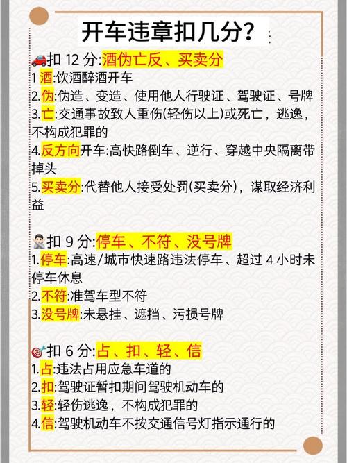 青岛市交通违章查询官方网站(青岛市交警网违章查询)