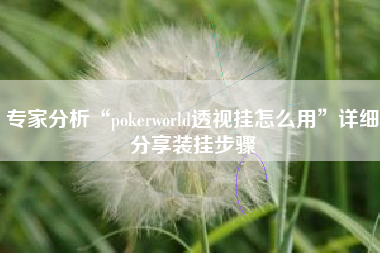 专家分析“pokerworld透视挂怎么用”详细分享装挂步骤