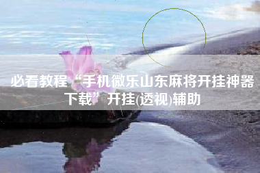 必看教程“手机微乐山东麻将开挂神器下载”开挂(透视)辅助