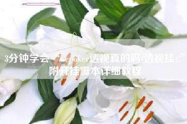 3分钟学会“wepoker透视真的吗(透视挂)!”附开挂脚本详细教程