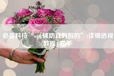 必备科技“wpk辅助真的假的”(详细透视教程)-知乎