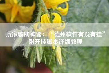 玩家辅助神器：“德州软件有没有挂	”附开挂脚本详细教程