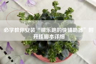 必学教你安装“微乐跑的快辅助器”附开挂脚本详细