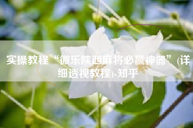 实操教程“微乐陕西麻将必赢神器”(详细透视教程)-知乎