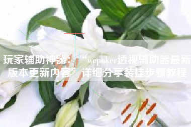 玩家辅助神器：“wepoker透视辅助器最新版本更新内容	”详细分享装挂步骤教程