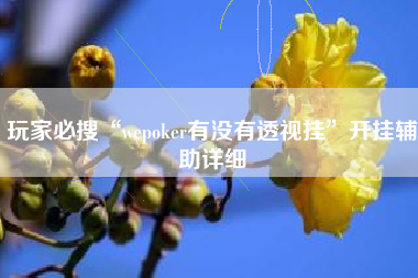 玩家必搜“wepoker有没有透视挂	”开挂辅助详细