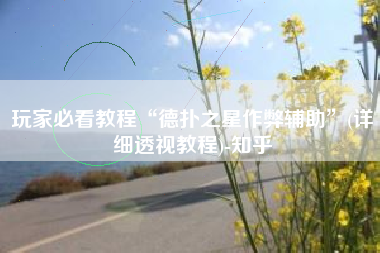 玩家必看教程“德扑之星作弊辅助	”(详细透视教程)-知乎