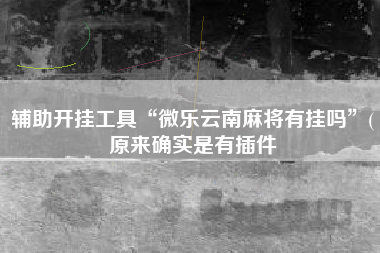 辅助开挂工具“微乐云南麻将有挂吗”(原来确实是有插件