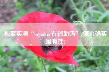 独家实测“wepoker有辅助吗”(原来确实是有挂)