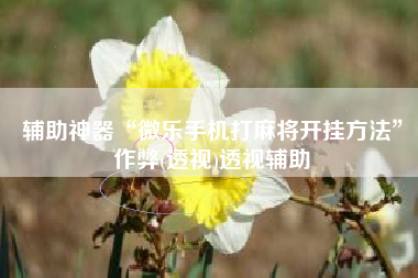 辅助神器“微乐手机打麻将开挂方法”作弊(透视)透视辅助
