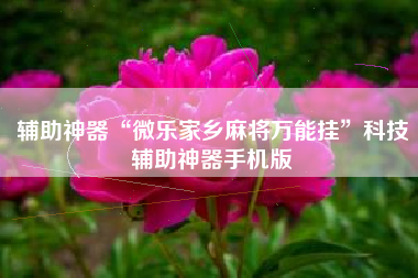 辅助神器“微乐家乡麻将万能挂	”科技辅助神器手机版