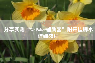分享实测“WePoker辅助器”附开挂脚本详细教程