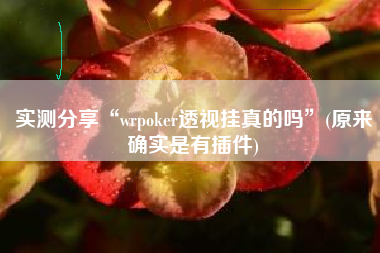 实测分享“wrpoker透视挂真的吗”(原来确实是有插件)