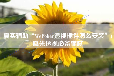 真实辅助“WePoker透视插件怎么安装”(曝光透视必备猫腻