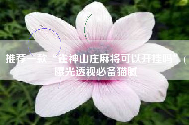 推荐一款“雀神山庄麻将可以开挂吗”(曝光透视必备猫腻