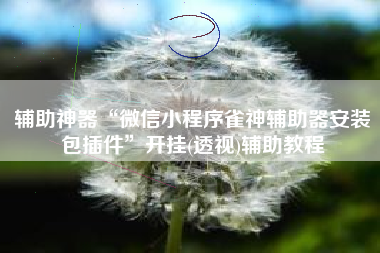 辅助神器“微信小程序雀神辅助器安装包插件”开挂(透视)辅助教程