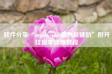 软件分享“wepokerplus德州局辅助”附开挂脚本详细教程
