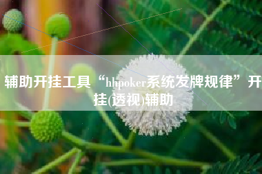 辅助开挂工具“hhpoker系统发牌规律”开挂(透视)辅助