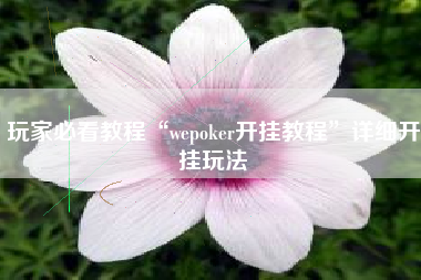 玩家必看教程“wepoker开挂教程	”详细开挂玩法