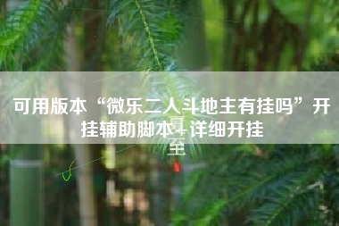 可用版本“微乐二人斗地主有挂吗”开挂辅助脚本+详细开挂