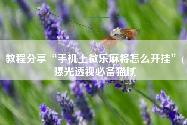 教程分享“手机上微乐麻将怎么开挂”(曝光透视必备猫腻