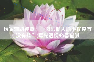 玩家辅助神器：“微乐锄大地小程序有没有挂”(曝光透视必备猫腻