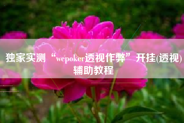 独家实测“wepoker透视作弊”开挂(透视)辅助教程