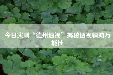 今日实测“德州透视”揭秘透视辅助万能挂