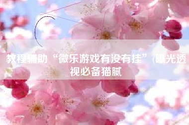 教程辅助“微乐游戏有没有挂”(曝光透视必备猫腻