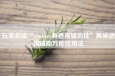 玩家必读“wepoker有透视辅助挂”揭秘透视辅助万能挂用法