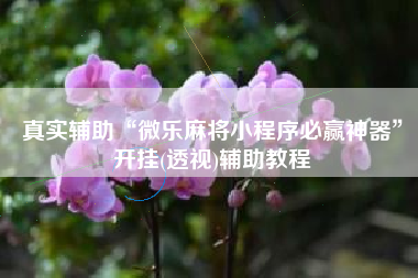 真实辅助“微乐麻将小程序必赢神器”开挂(透视)辅助教程