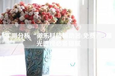 实测分析“微乐科技辅助器(免费)”(曝光透视必备猫腻