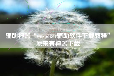 辅助神器“we-poker辅助软件下载教程	”原来有神器下载