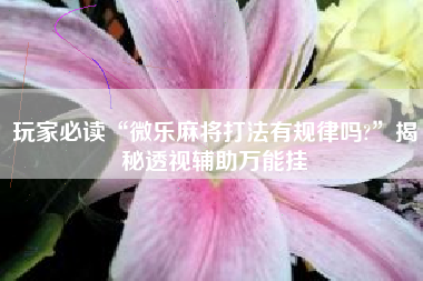 玩家必读“微乐麻将打法有规律吗?”揭秘透视辅助万能挂