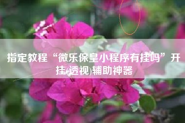指定教程“微乐保皇小程序有挂吗”开挂(透视)辅助神器