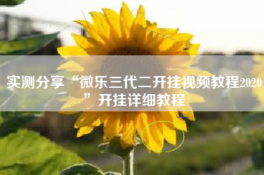 实测分享“微乐三代二开挂视频教程2020”开挂详细教程