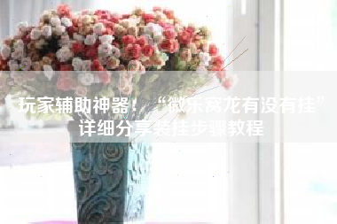 玩家辅助神器：“微乐窝龙有没有挂”详细分享装挂步骤教程
