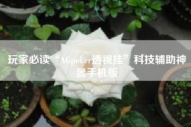 玩家必读“AGpoker透视挂	”科技辅助神器手机版
