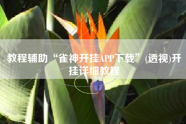 教程辅助“雀神开挂APP下载”(透视)开挂详细教程